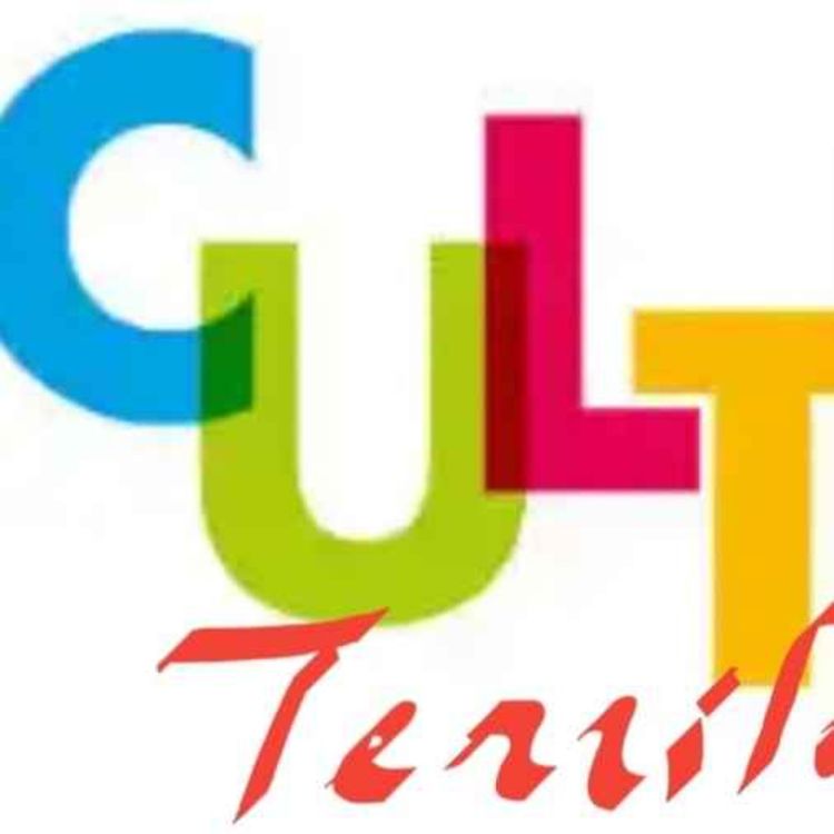 cover art for Culture territoriale finance et budget