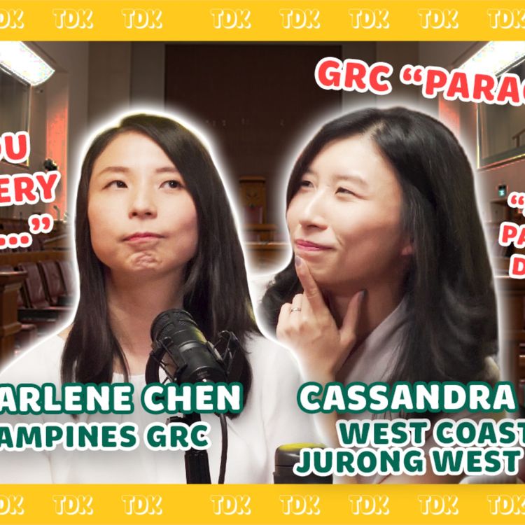 cover art for The HARSH REALITY of Being A First-Time MP in SG…