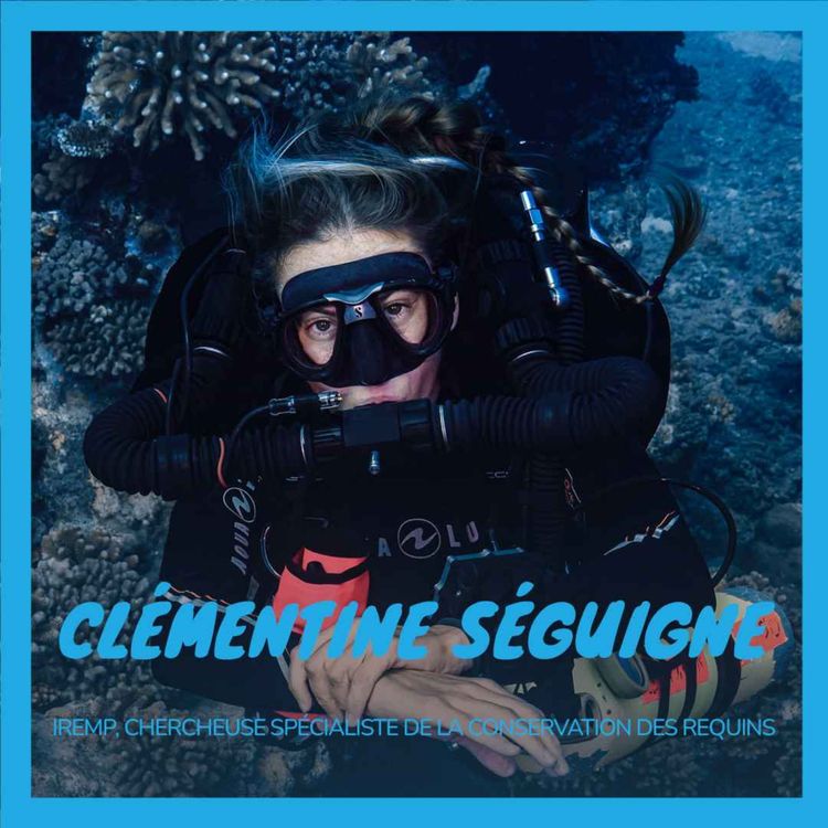 cover art for Clémentine Séguigne, la conservation des requins avec une triple approche : écologie, économie et socio-anthropologie 🦈