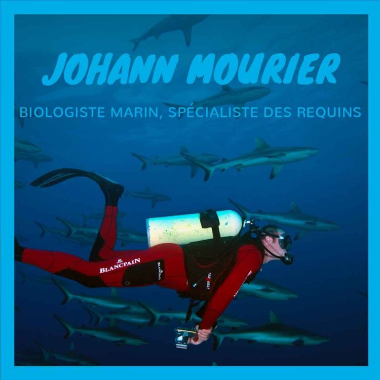 cover art for Plongée dans les réseaux sociaux des requins 🦈 avec Johann Mourier