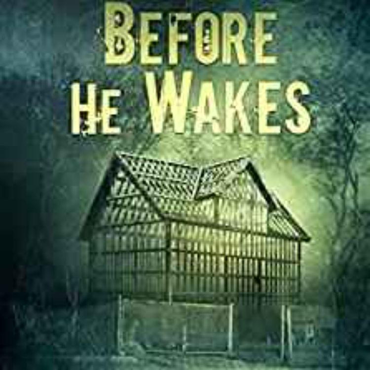 cover art for Mark Allan Gunnells - Before He Wakes 