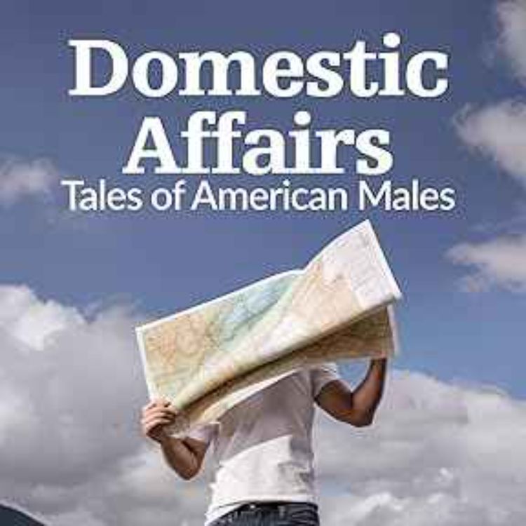 cover art for Daniel Jaffe - Domestic Affairs 