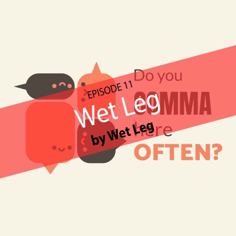 cover art for Wet Leg by Wet Leg - Do You Comma Here Often