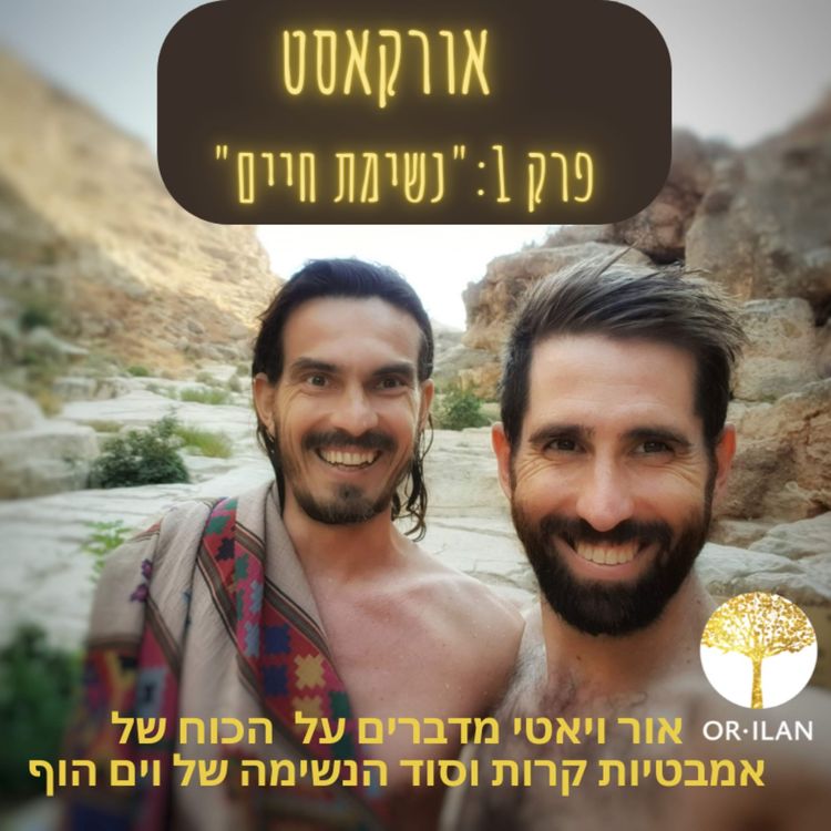 cover art for אורקסט #1  "נשימת חיים" - סוד הנשימה של וים הוף - אור אילן ויאטי