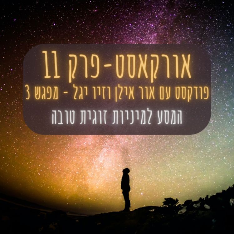 cover art for אורקסט #11 המסע למיניות זוגית טובה - אור אילן וזיו יגל