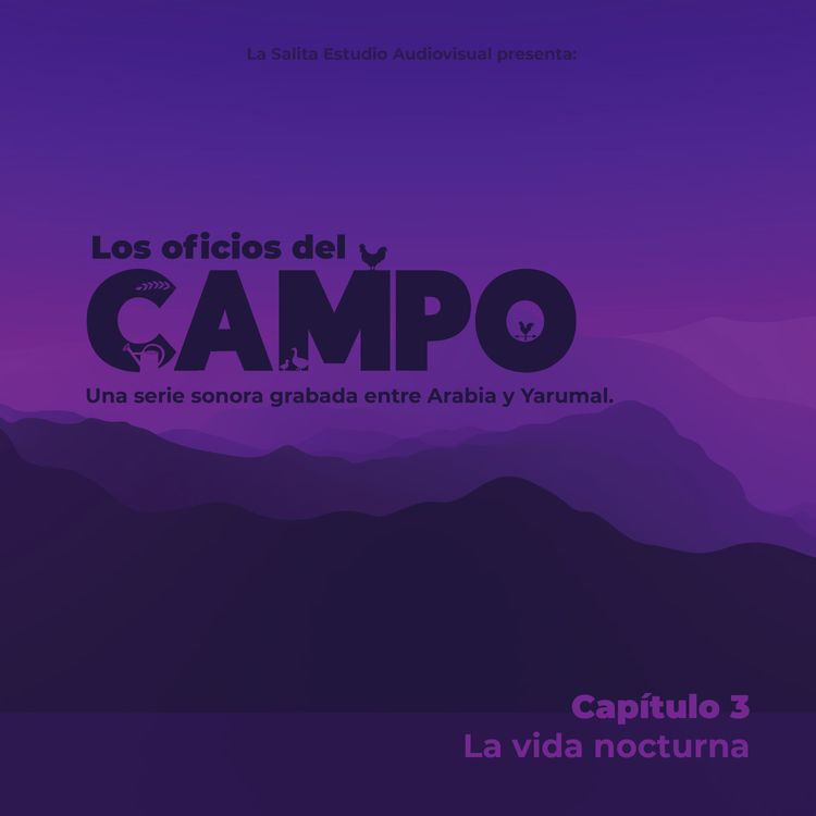 cover art for La vida nocturna