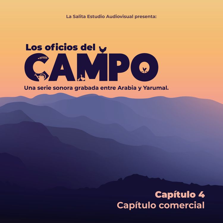 cover art for Capítulo comercial