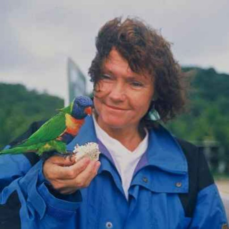 cover art for Vi seglar till Galapagos med Airie Sjöberg