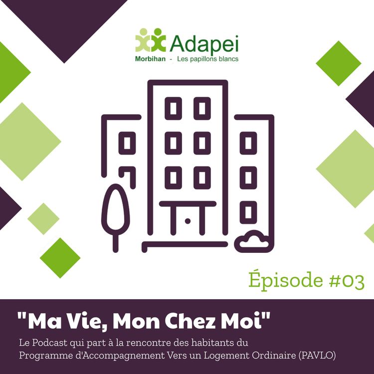 cover art for Au coeur du PAVLO : Épisode 3