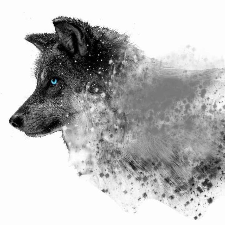 cover art for Destiné mi norte