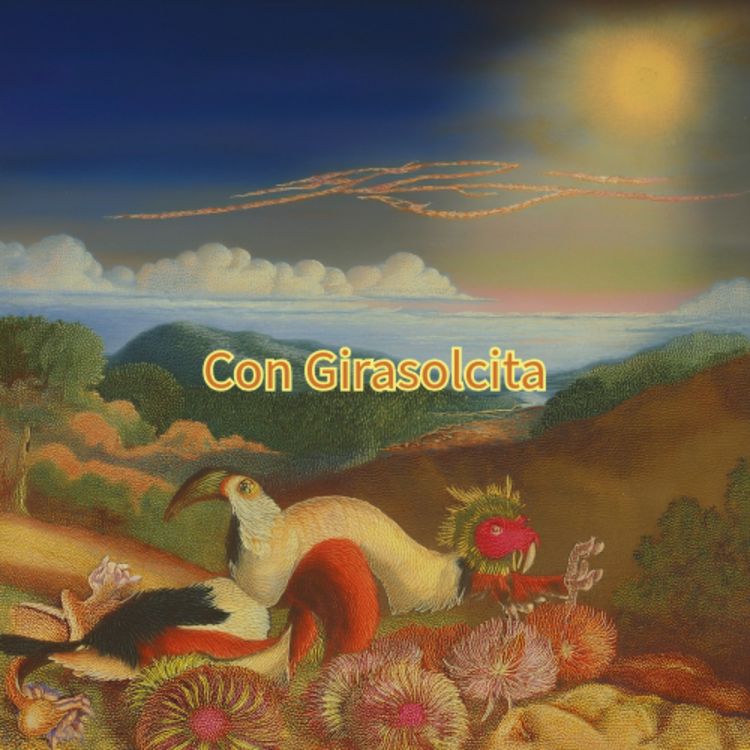 cover art for Reestructuración con Girasolcita 2