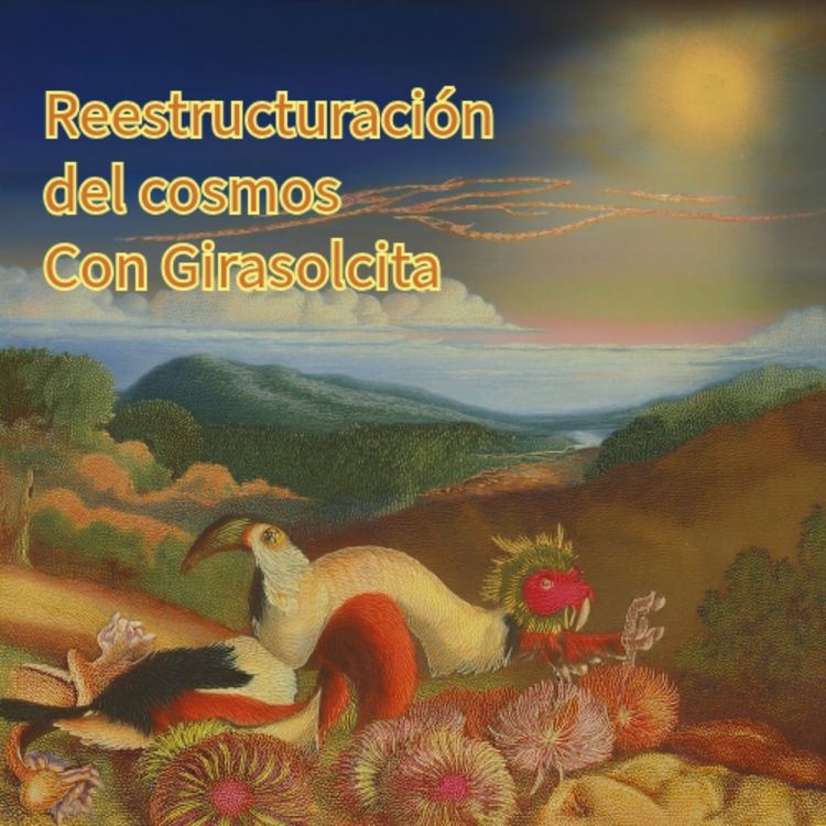 cover art for Reestructuración con Girasolcita 1