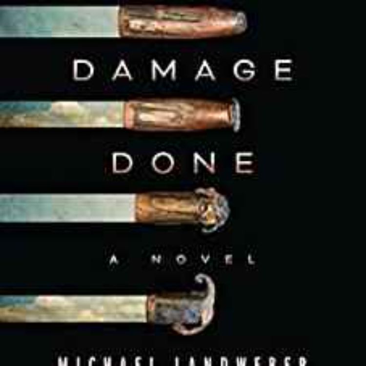 cover art for Michael Landweber - The Damage Done