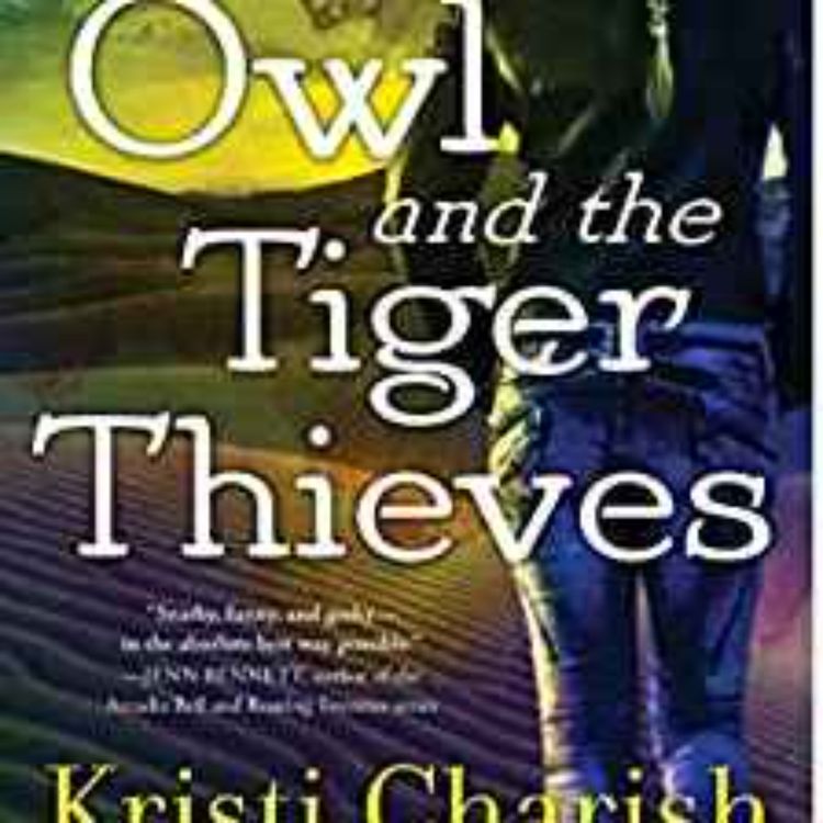 cover art for Kristi Charish - Owl and the Tiger Thieves