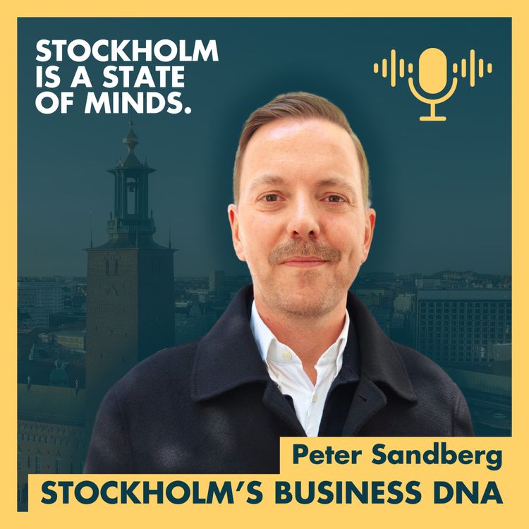 cover art for Stockholm's Business DNA
