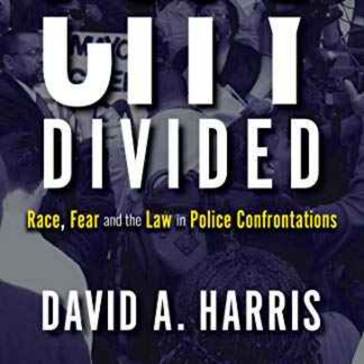 cover art for David A. Harris - A City Divided 