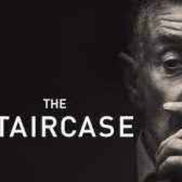 cover art for David Rudolf - Netflix' The Staircase