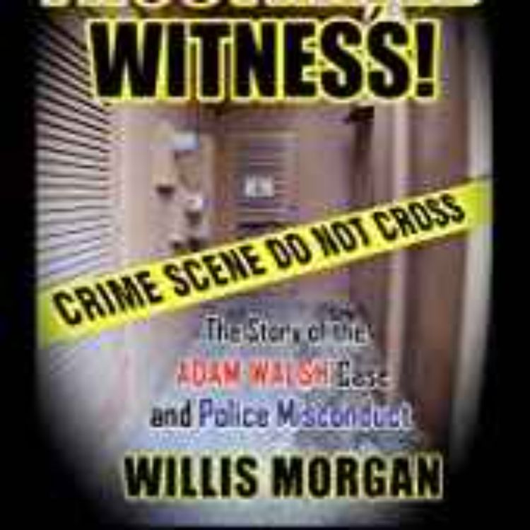 cover art for Willis Morgan - Frustrated Witness