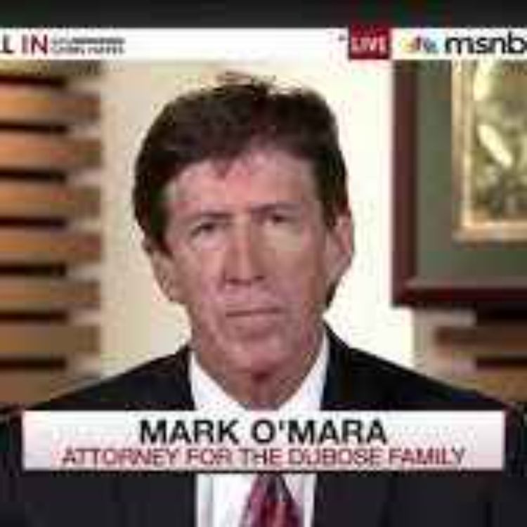 cover art for Mark O'Mara - George Zimmerman