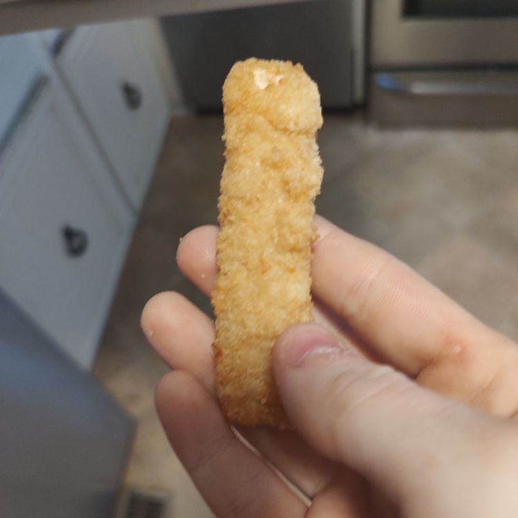 cover art for Fish sticks