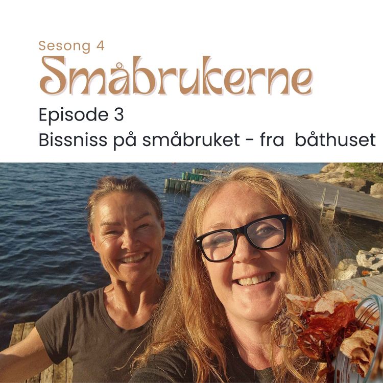 cover art for Bissniss på småbruket