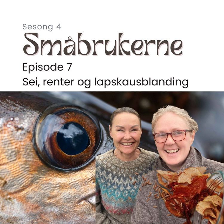 cover art for Sei, renter og lapskausblanding