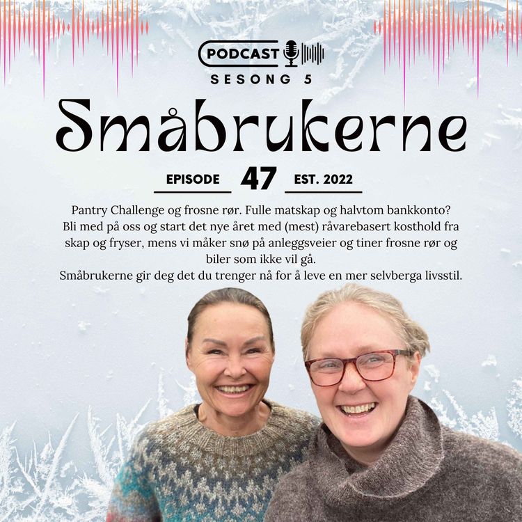 cover art for Pantry Challenge og frosne rør