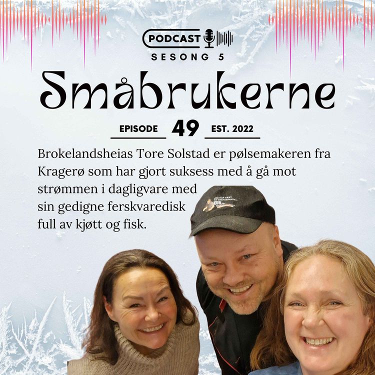 cover art for Pølsemaker Tore Solstad mot strømmen