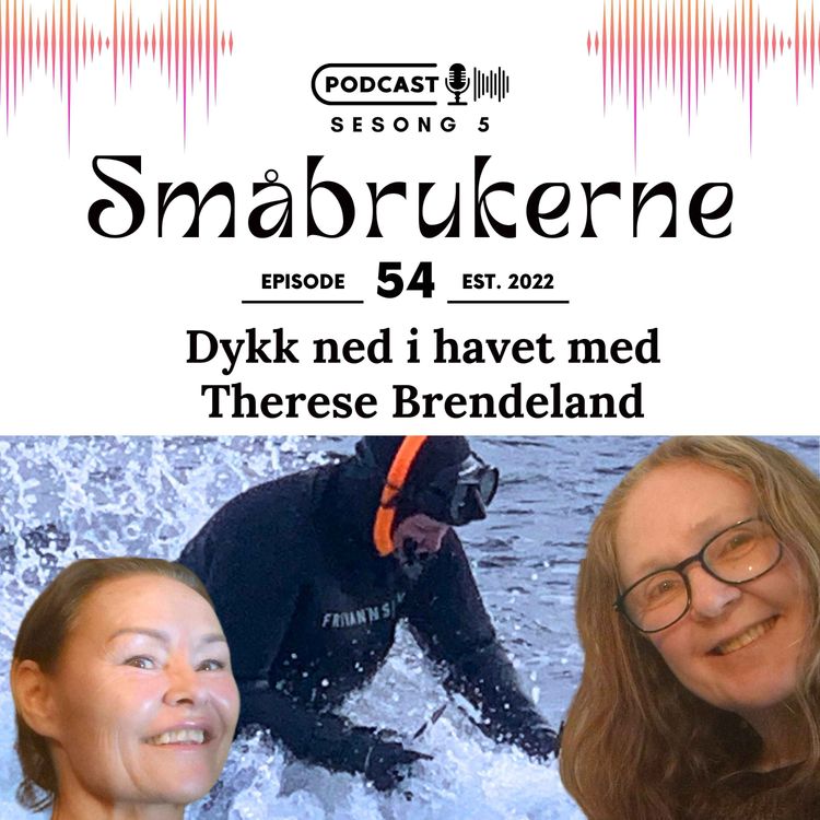 cover art for Dykk ned i havet med Therese Brendeland