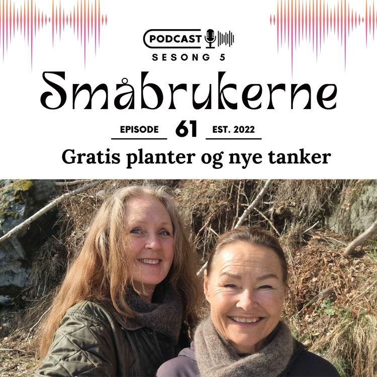cover art for Gratis planter og nye tanker