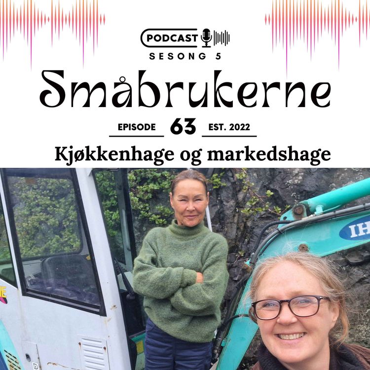 cover art for Kjøkkenhage og markedshage