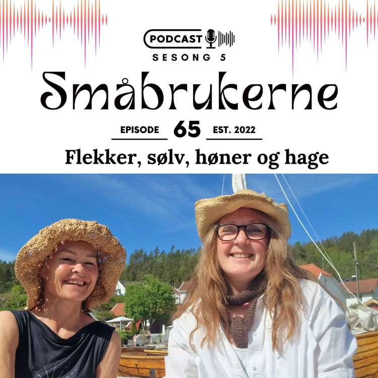 cover art for Flekker, sølv, høner og hage