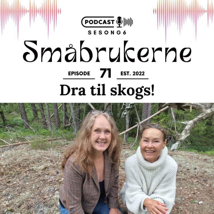 cover art for Dra til skogs!