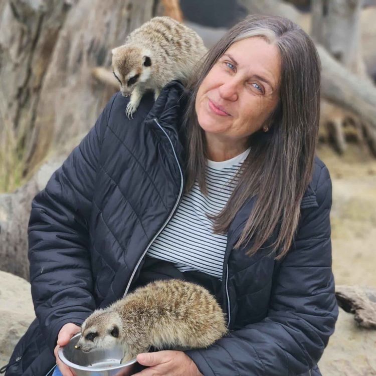 cover art for 354. I can't keep doing this with Yvonne