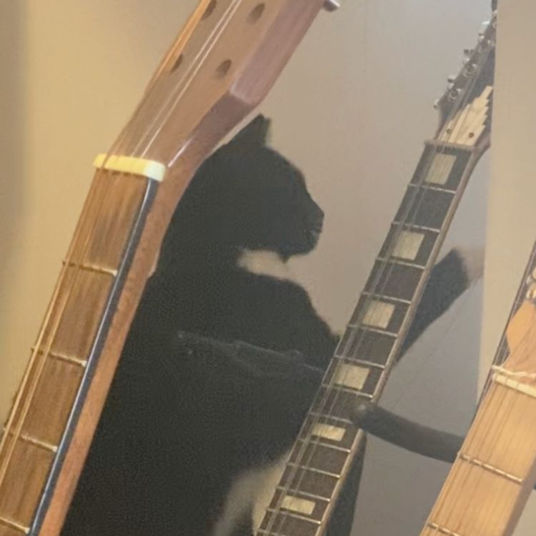 cover art for retroactive birthday shout-outs, sensory issues and cat floss