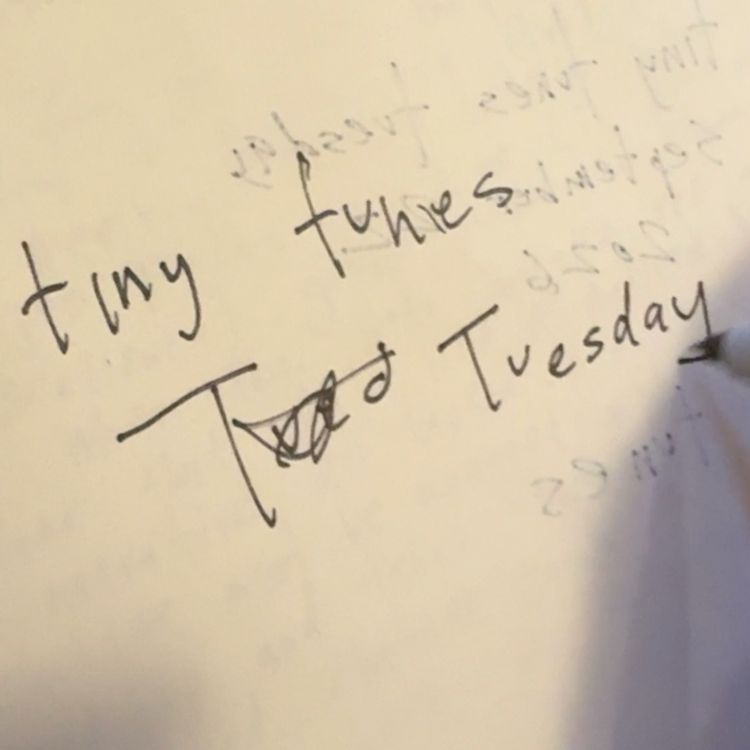 cover art for tiny tunes tuesday: perfect way, lazy mind