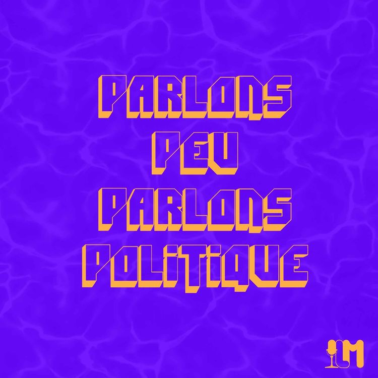 cover art for Assistons-nous à la disparition de la plus grande démocratie du monde ? 