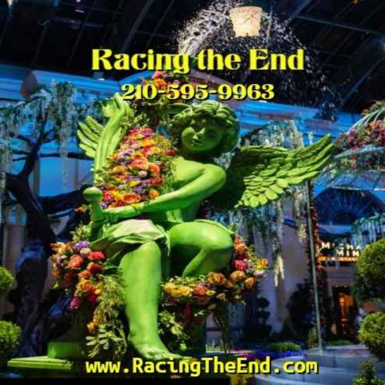 cover art for Racing The End