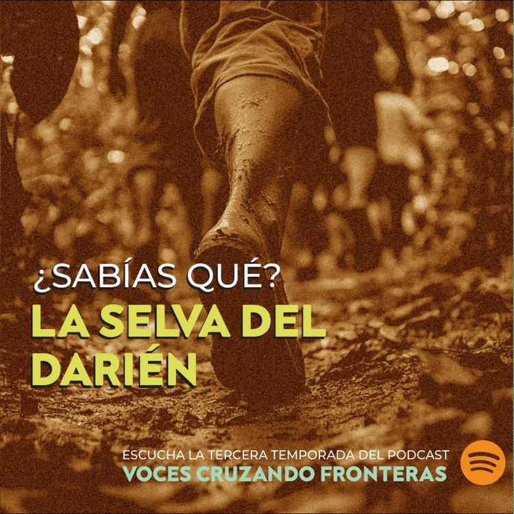 cover art for BONUS ¿Sabías qué? De la Selva del Darién