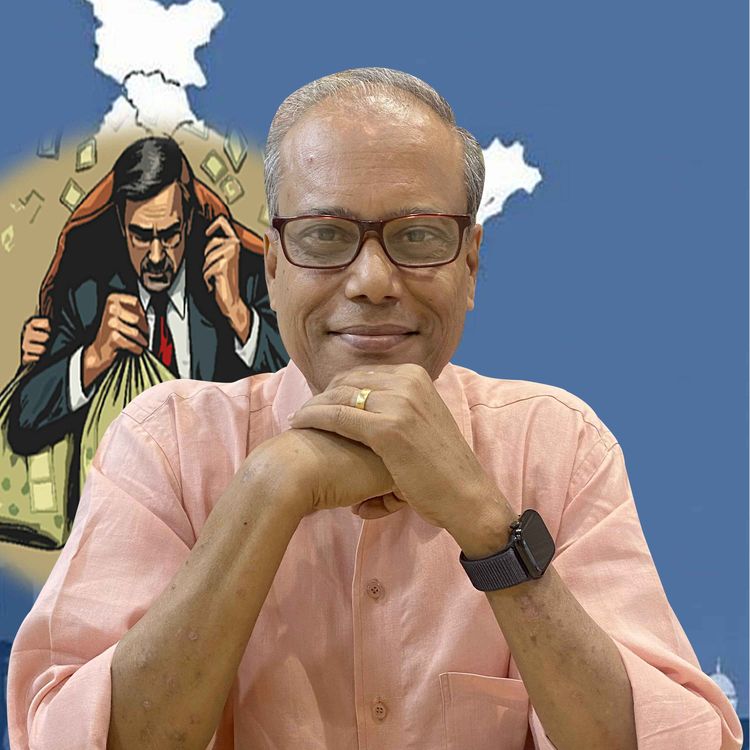 cover art for The Elusive Private Capex Boom