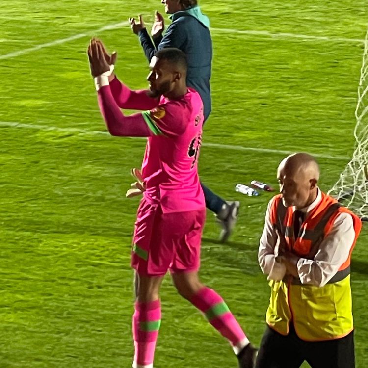 cover art for Bees Through Thanks To Balcombe In Shootout