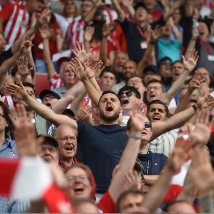 cover art for New Season Expectations. Bees Fans Have Their Say | Beesotted Season Preview Podcast