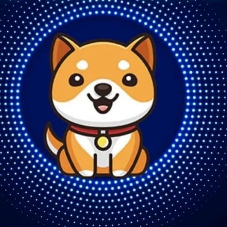 cover art for BABY DOGE 