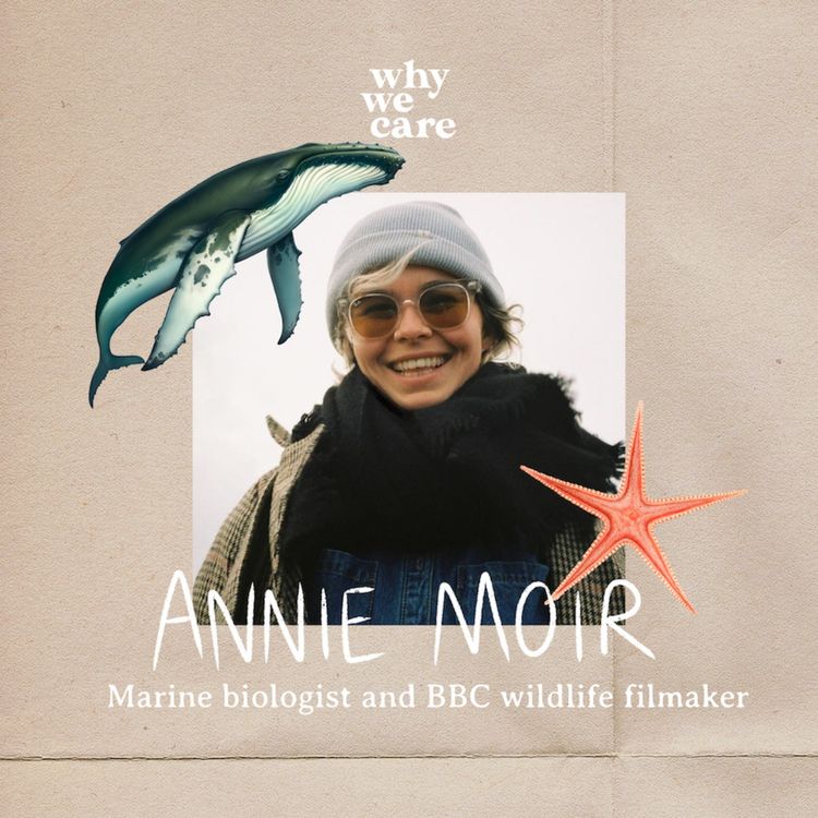 cover art for Noise pollution in the oceans and telling stories that matter with Annie Moir, marine biologist and BBC wildlife filmmaker