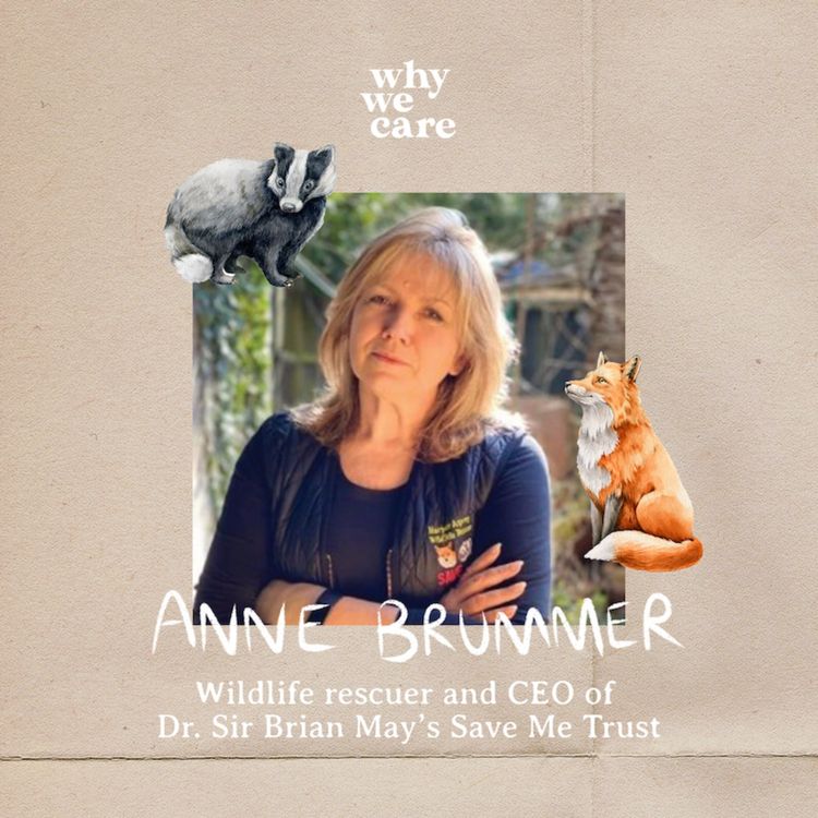 cover art for Protecting wildlife and how to live in harmony with foxes, birds and hedgehogs with Anne Brummer, CEO of Dr. Sir Brian May’s Save Me Trust