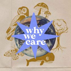 cover art for Why We Care