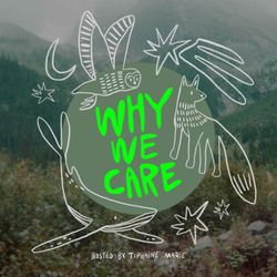 cover art for Why We Care