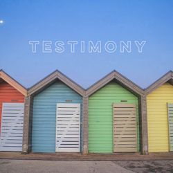 cover art for Testimony