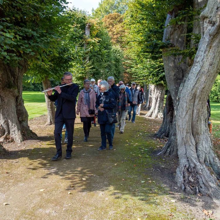 cover art for Fuglsang Have