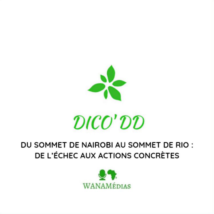 cover art for Du sommet de Nairobi au sommet de Rio : de l’échec aux actions concrètes